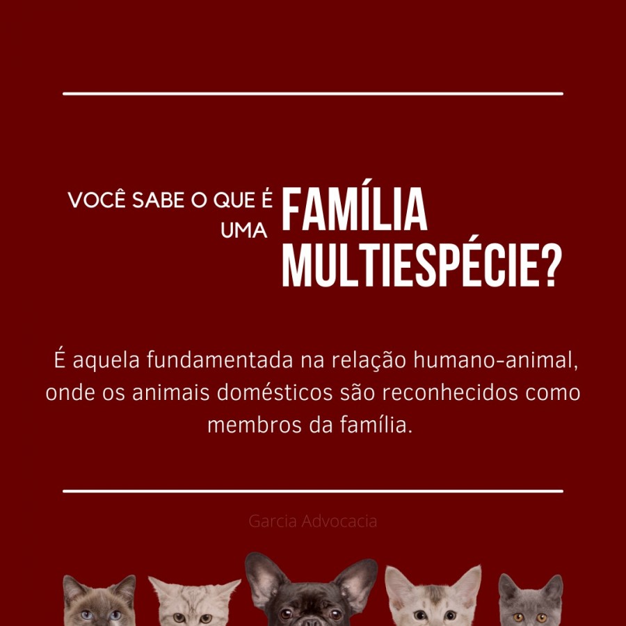 Voc sabe o que  uma famlia multiespcie?